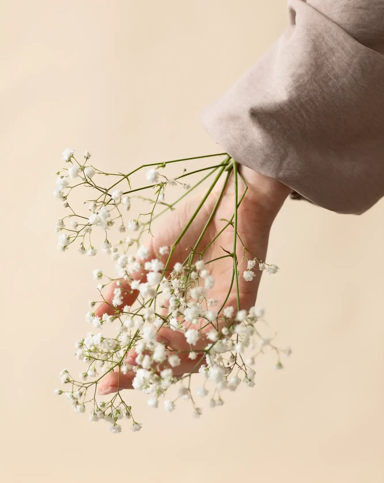 Mão com flores delicadas simbolizando acolhimento na psicologia clínica